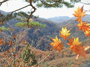 黄河沿岸大道最新资讯