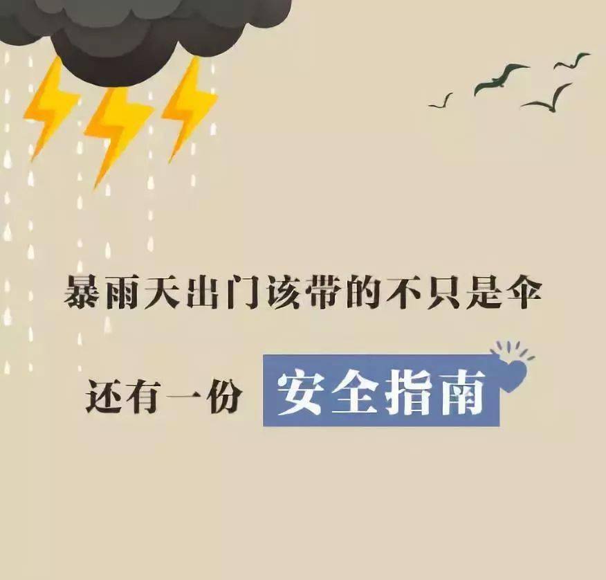 今日视线·温馨瞬间：新篇安全出行故事