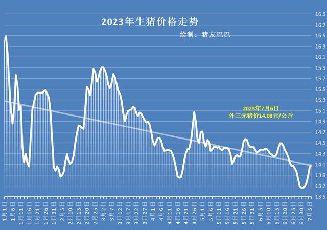 仔猪价格动态速递